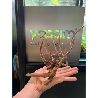 YASAM - Genuine Driftwood (Exact Piece)