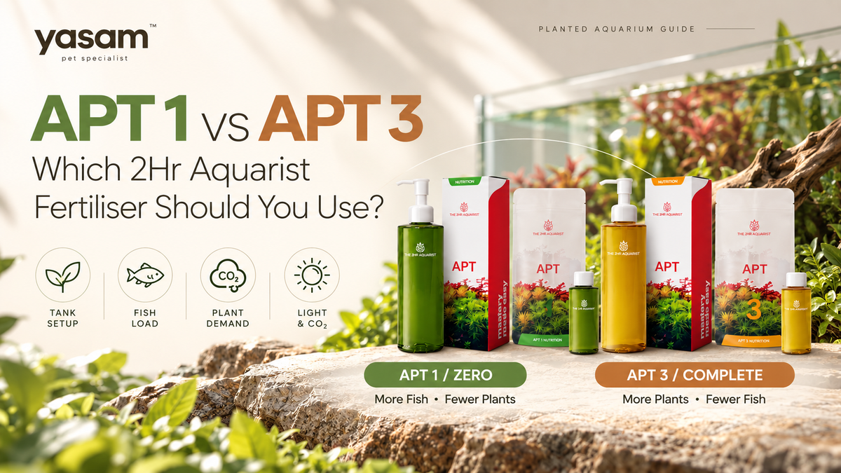 APT 1 vs APT 3 vs APT e: Which 2Hr Aquarist Fertiliser Should You Use?