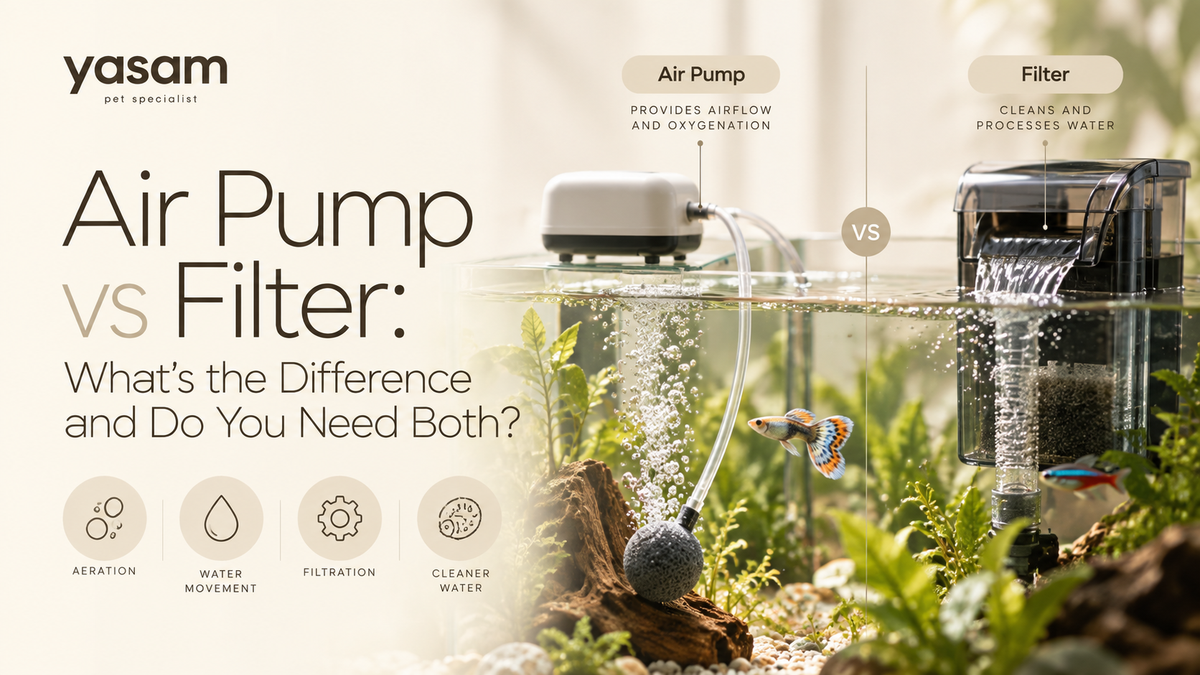Air Pump vs Filter: What’s the Difference and Do You Need Both in Your Aquarium?