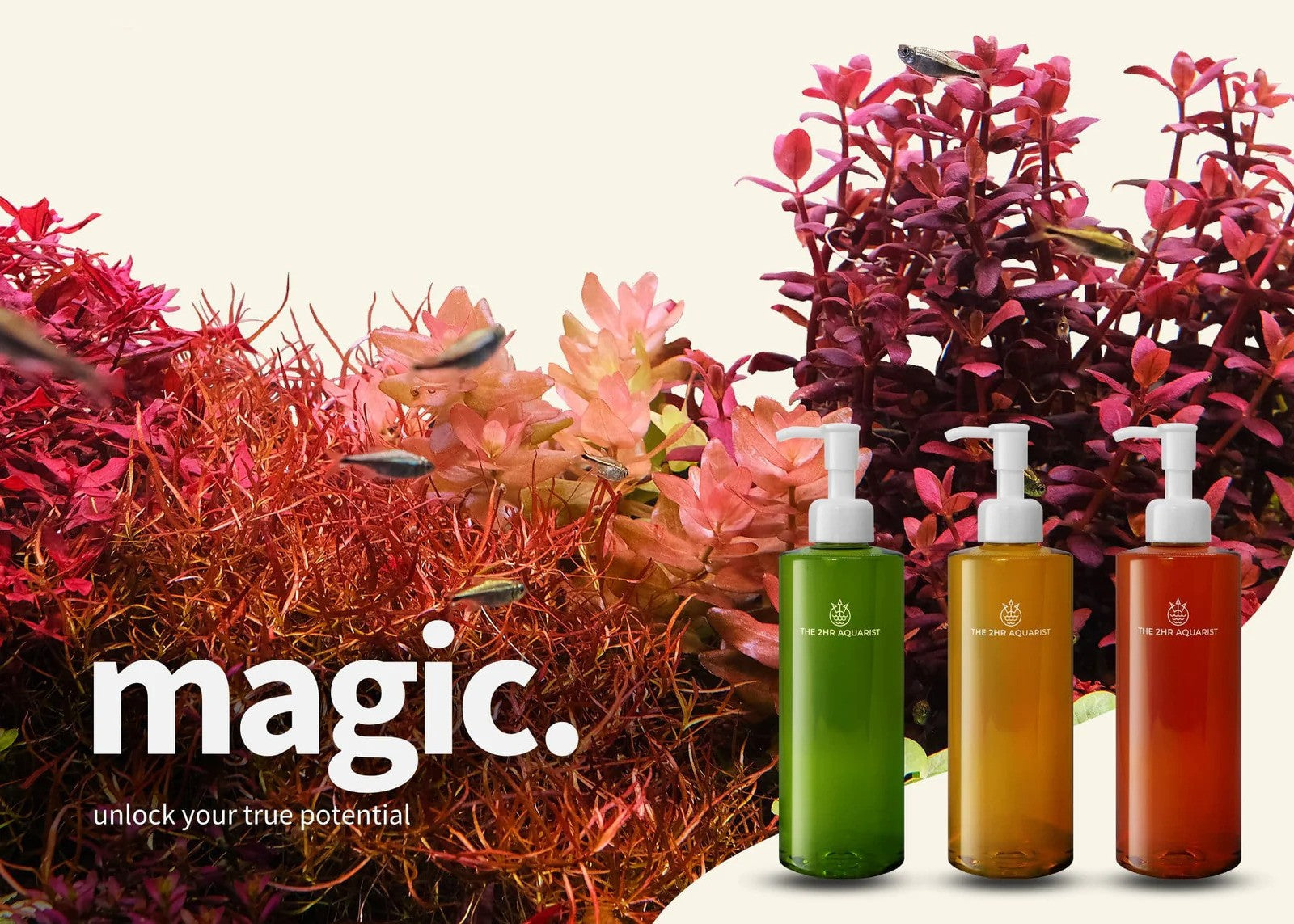 2Hr Aquarist (SINGAPORE)