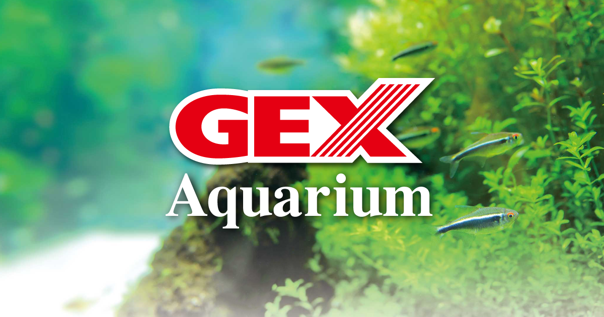 GEX (JAPAN)