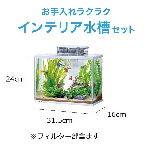 GEX - Marina Slim S White Tank good for Giant Betta, Wild Betta (Light and Easy to Wash) 1 Feet Tank