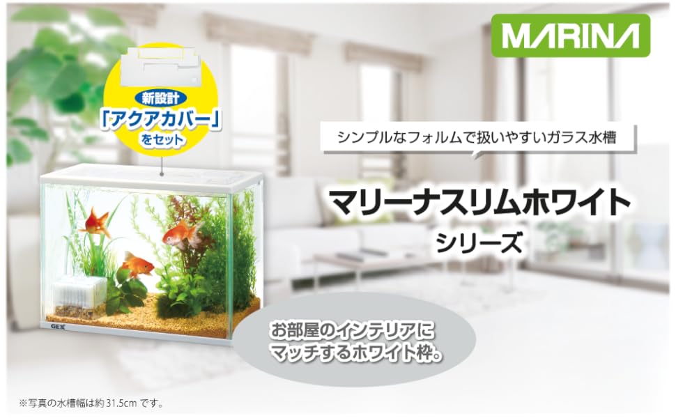 GEX - Marina Slim S White Tank good for Giant Betta, Wild Betta (Light and Easy to Wash) 1 Feet Tank