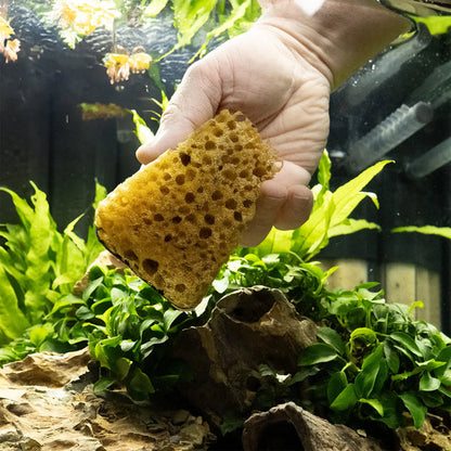 DENNERLE - Cleanator Cleaning sponge for aquariums glass tanks removes the most stubborn algae