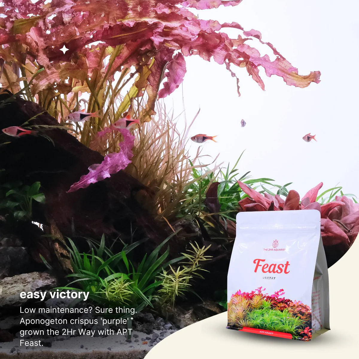 APT - Feast Aquasoil Natural Black Soil no need to dose for fresh start 2L