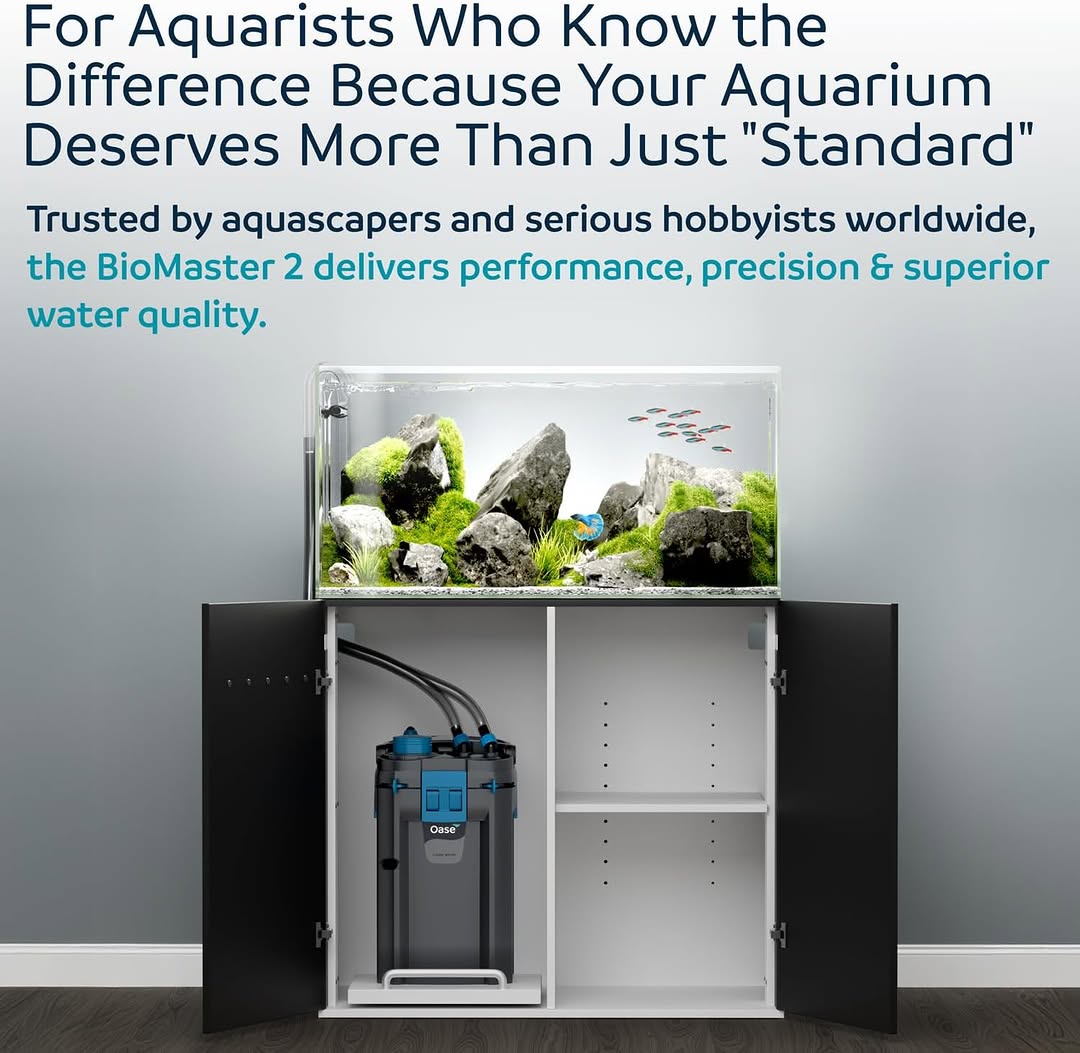 OASE Biomaster - (External Cannister Filter) Best performing filter in the market