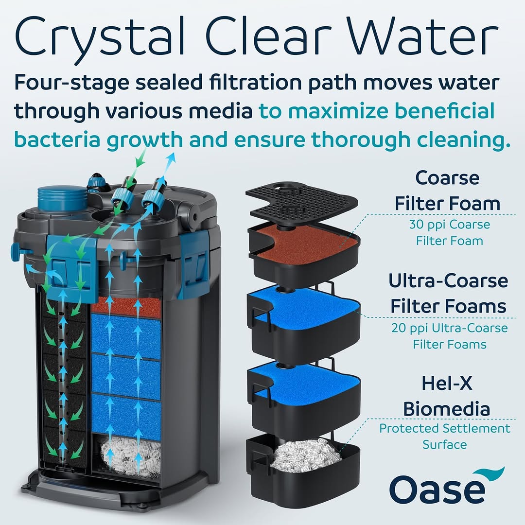 OASE Biomaster - (External Cannister Filter) Best performing filter in the market