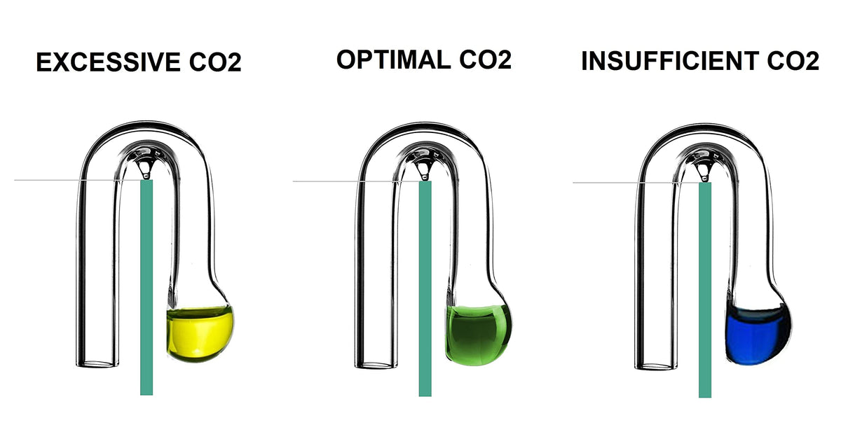 CHIHIROS - CO2 Indicator Tiny or Hanging Type for Aquarium Aquascape and Liquid Refill