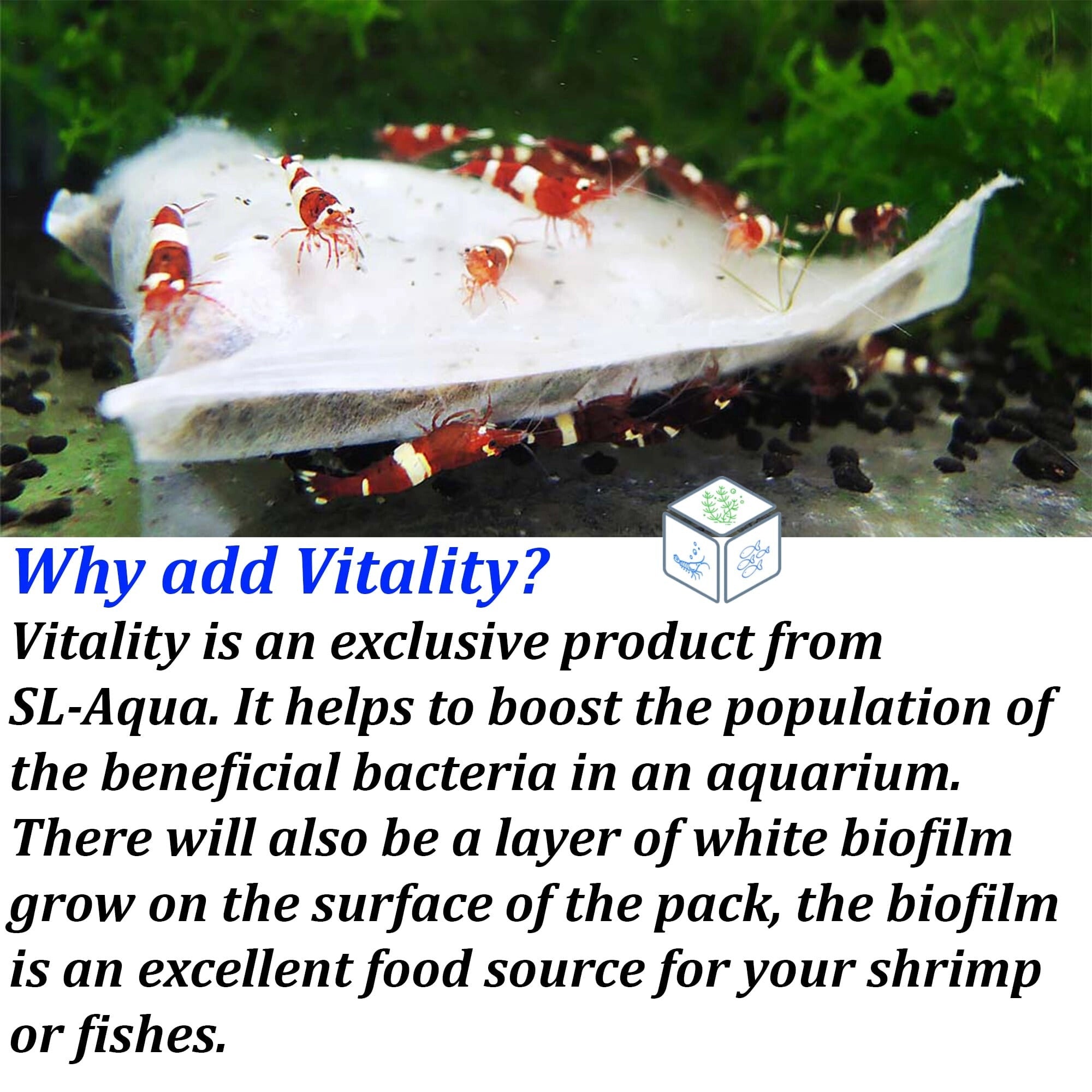 SL AQUA - Vitality Microbial Bag L Beneficial Bacteria Media for Shrimps & Aquarium (3 Packs)