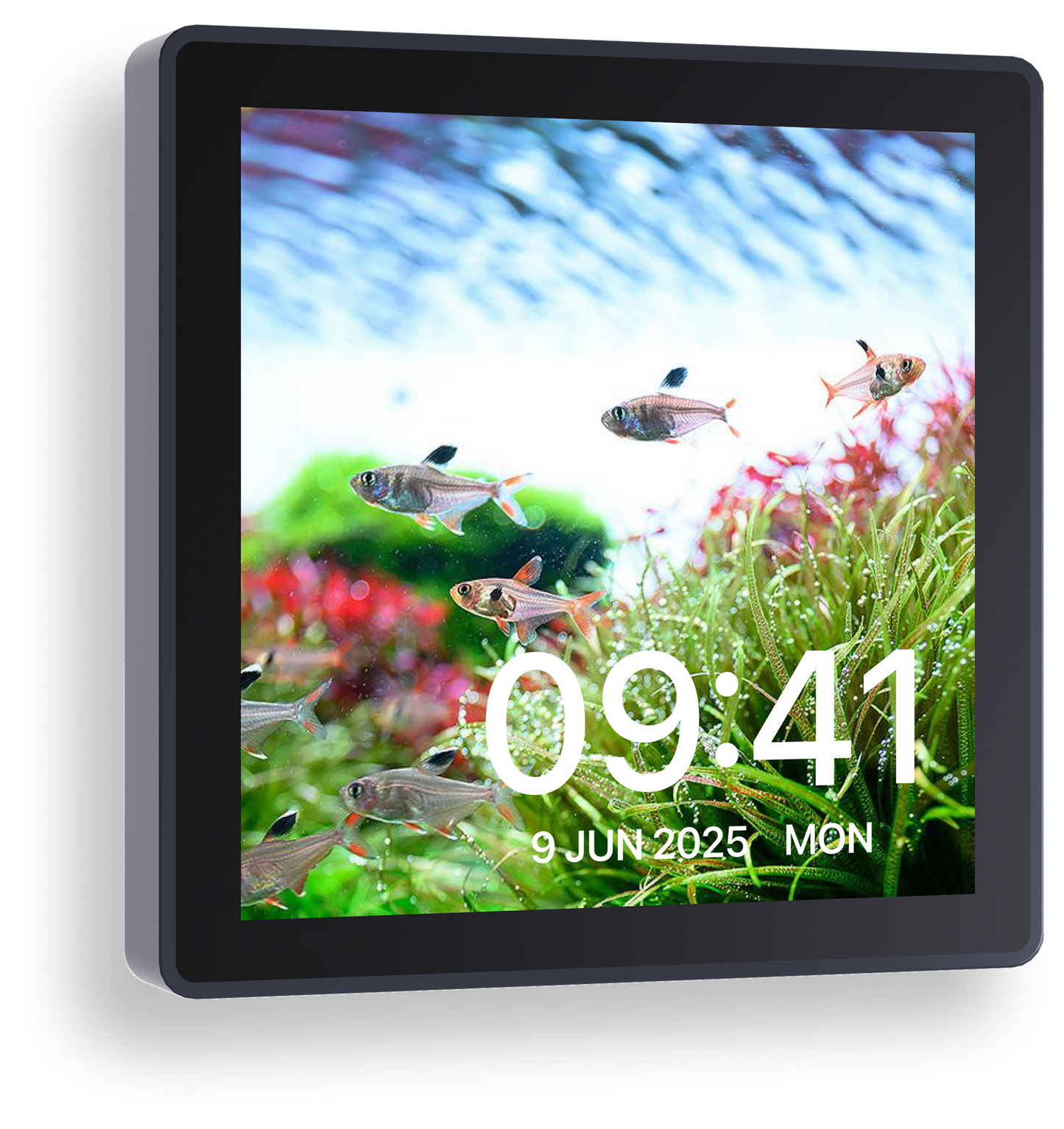 CHIHIROS - NEW WiFi Hub Pro Aquarium Lighting Automation Hub (Limited Stocks)