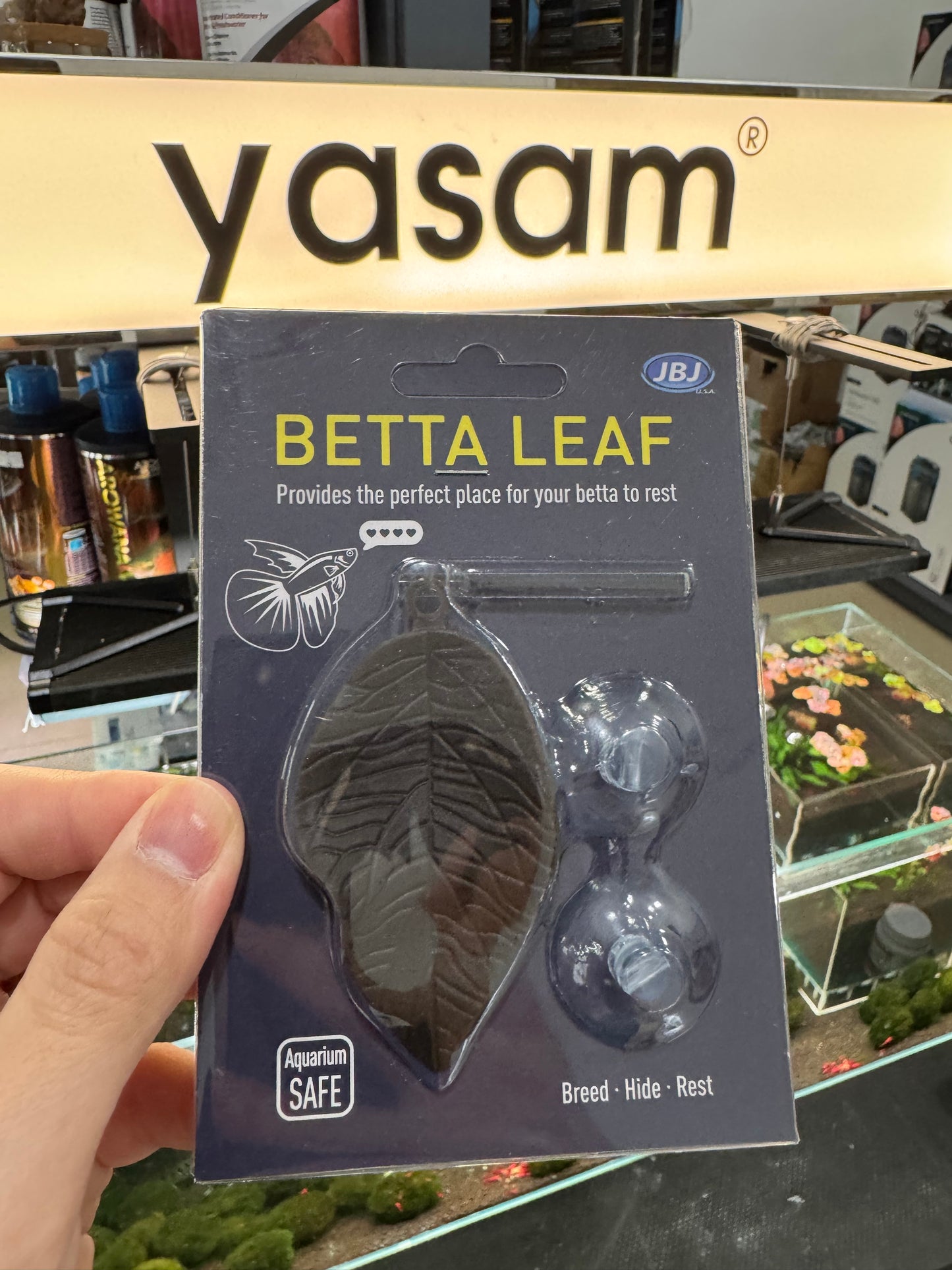 JBJ - Betta Leaf Floating with suction to stick to glass Black
