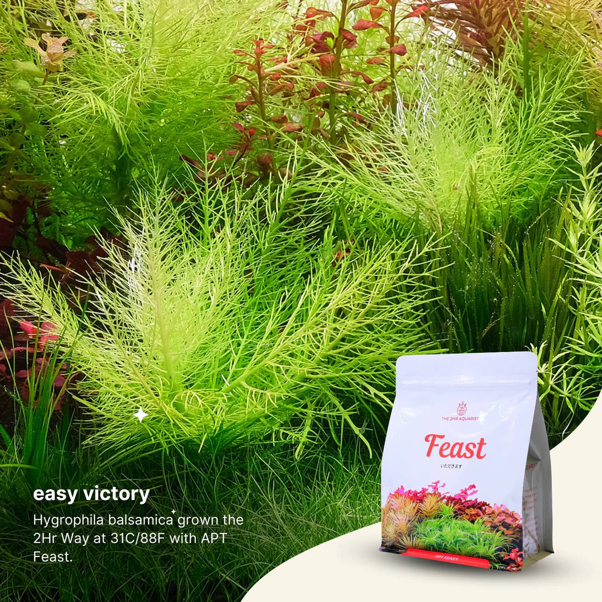 APT - Feast Aquasoil Natural Black Soil no need to dose for fresh start 2L