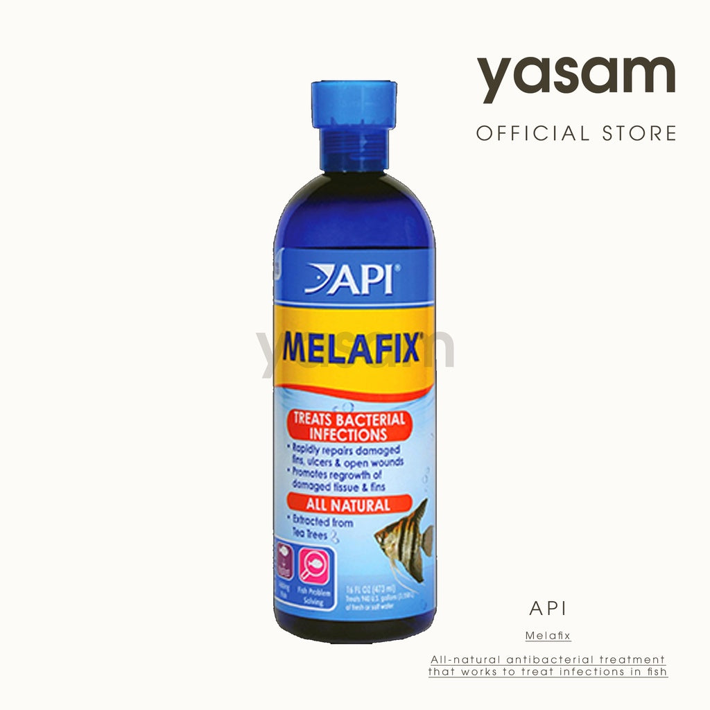 API - Melafix（抗菌）