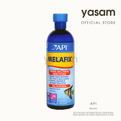 API - Melafix (Anti Bacterial)