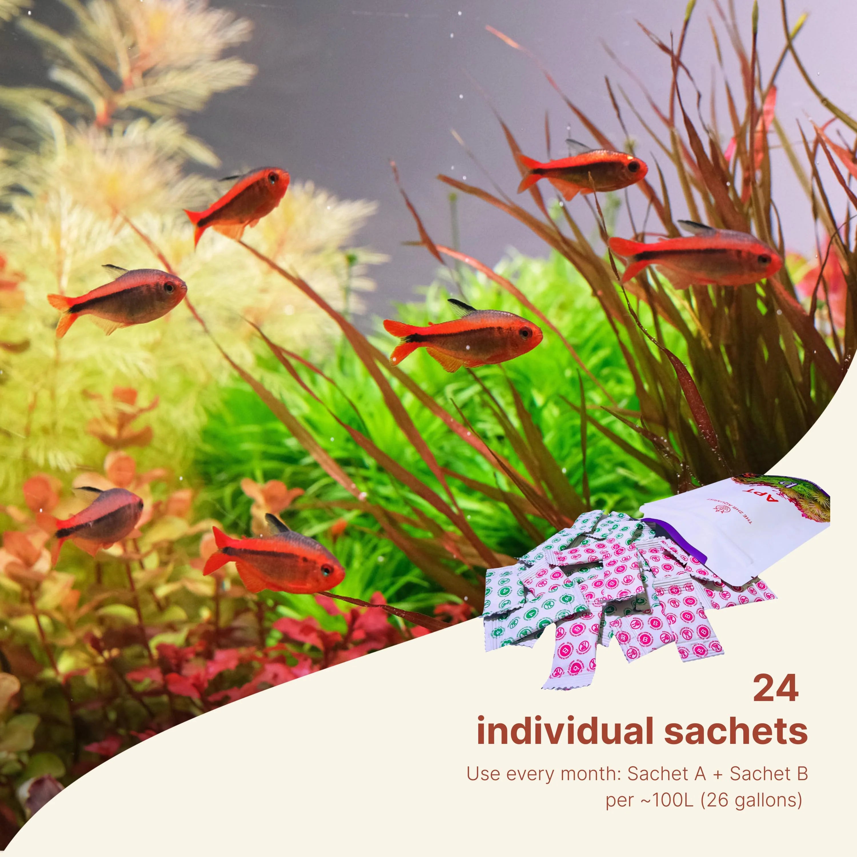 APT - Balance Beneficial Bacteria for Aquarium in Sachets of Monthly Dose