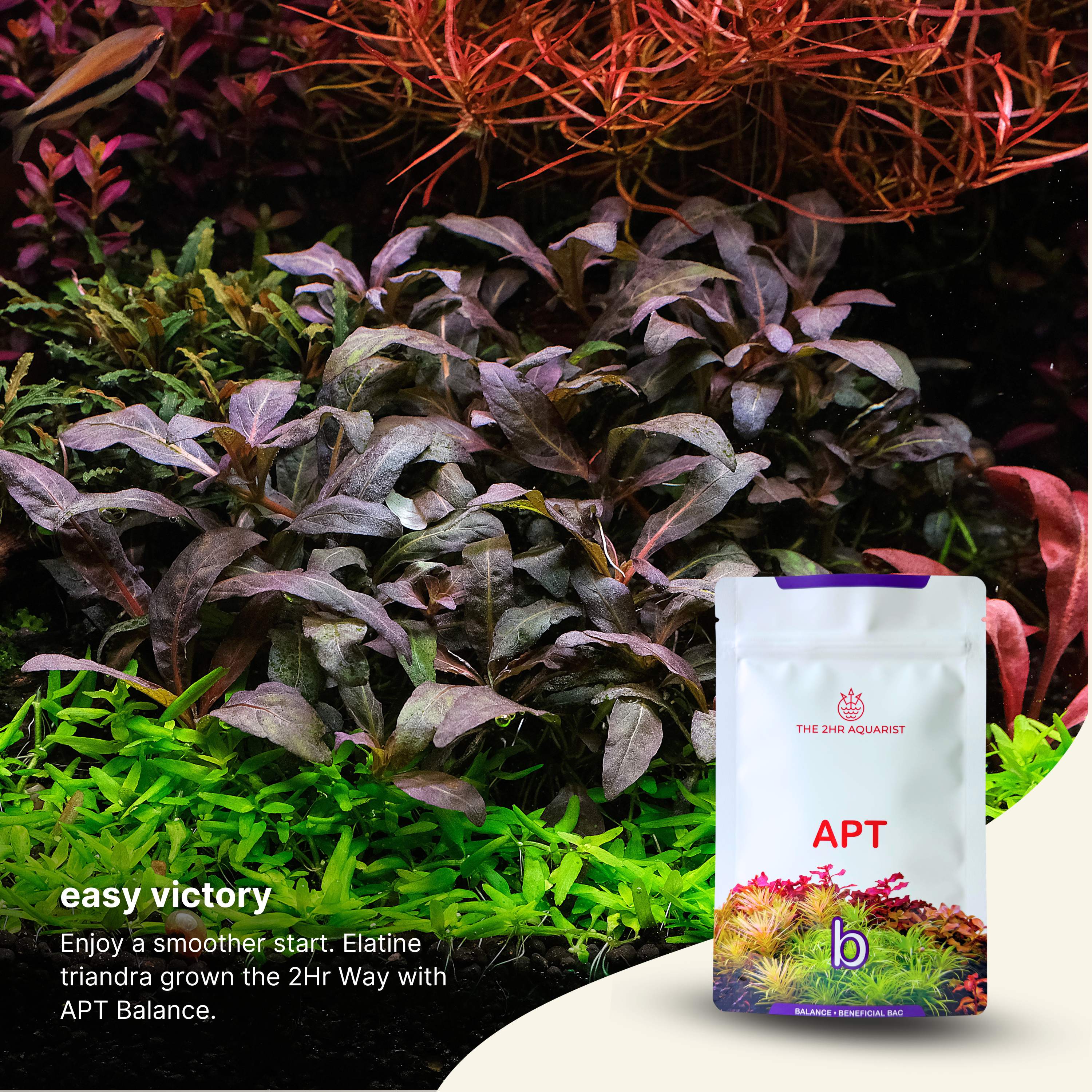 APT - Balance Beneficial Bacteria for Aquarium in Sachets of Monthly Dose