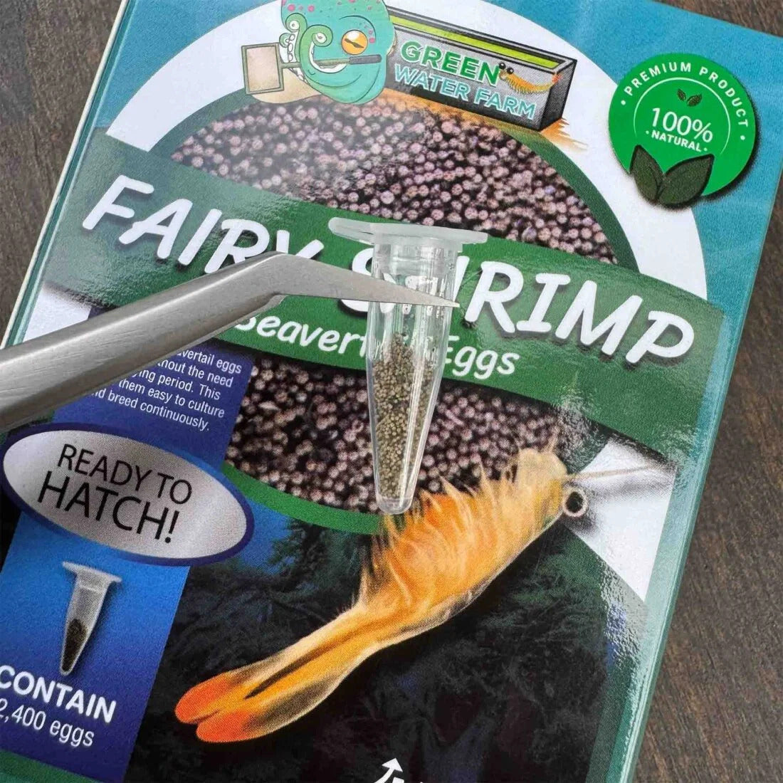 YASAM - Daphnia Rotifer Fairy Shrimp Moina Hatchable Live Feeder Food for Fries by Green Water Farm