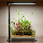 CHIHIROS - Lampu LED Desktop Seri CII untuk Akuarium Aquascape dengan Bluetooth Bawaan (C2 RGB/ C2 Putih)