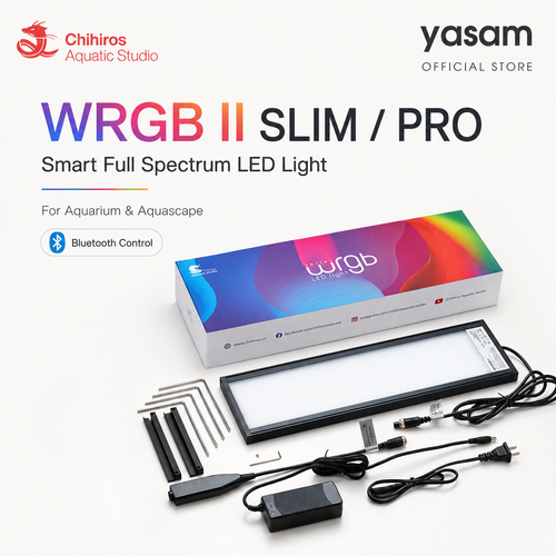 CHIHIROS - WRGB II SLIM / WRGB2 / WRGB PRO Aquascape Aquarium Full