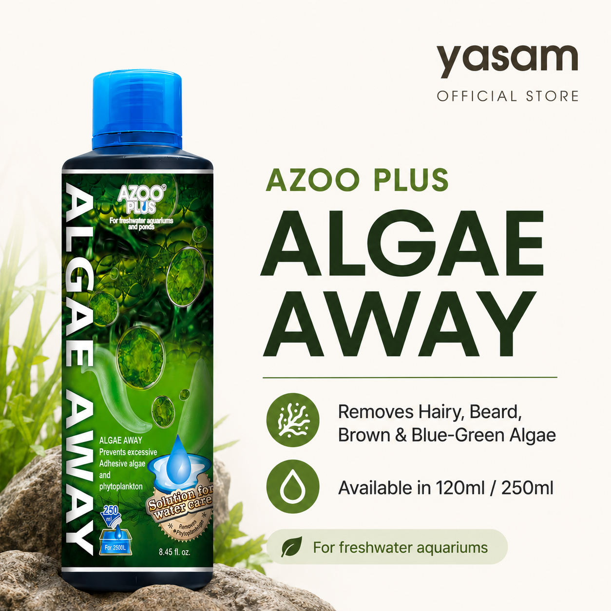 AZOO PLUS - Algae Away