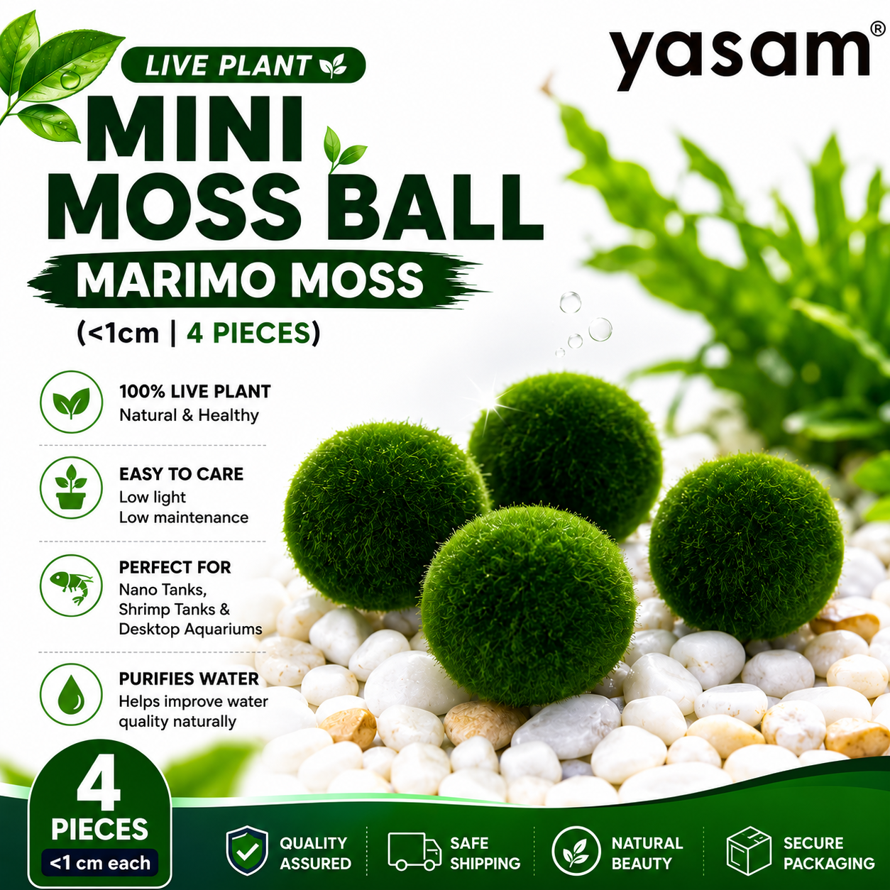 YASAM - Tanaman Hidup Lumut Mini Bola Lumut Marimo