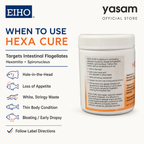 EIHO - HEXA CURE Treats Protozoa, Hole in Head, Dropsy (100 tabs)