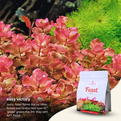 APT - Feast Aquasoil Natural Black Soil no need to dose for fresh start 2L