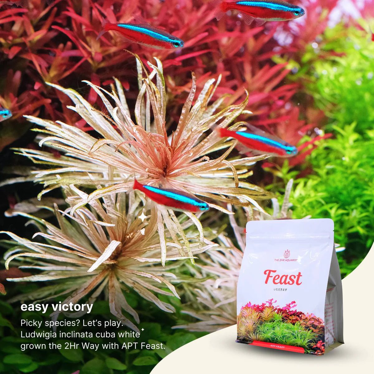 APT - Feast Aquasoil Natural Black Soil no need to dose for fresh start 2L