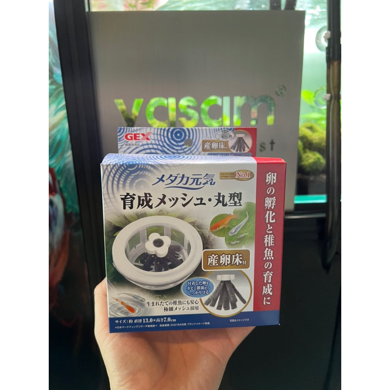 GEX - 用于孵化卵的青鳉浮动分离器（配有 1 个白色浮动产卵海绵）