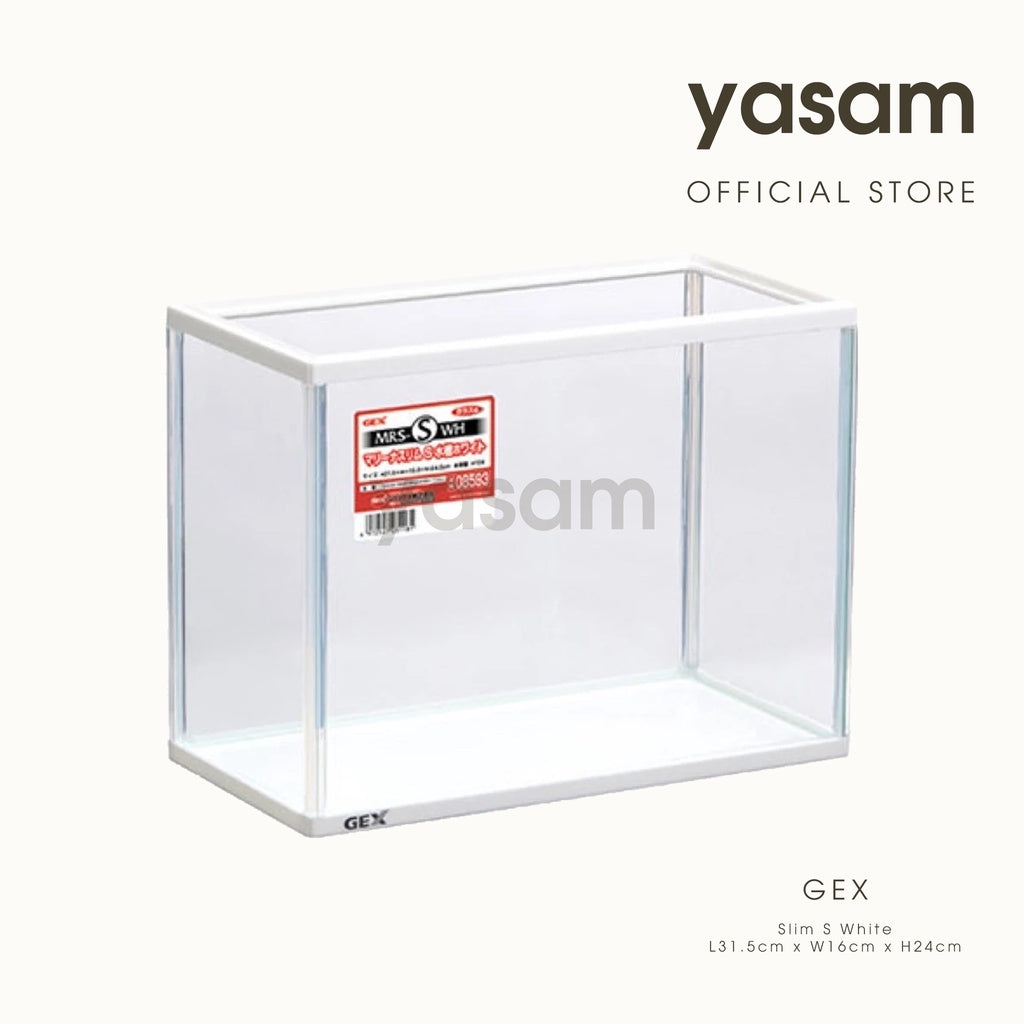 GEX - Marina Slim S White Tank good for Giant Betta, Wild Betta (Light and Easy to Wash) 1 Feet Tank