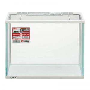 GEX - Marina Slim S White Tank good for Giant Betta, Wild Betta (Light and Easy to Wash) 1 Feet Tank
