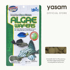 HIKARI - Wafer Alga untuk pemakan Alga (makanan ikan pleco dan otto)