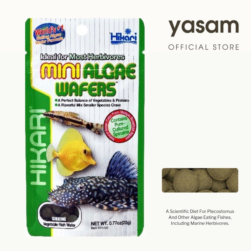 HIKARI - Algae Wafers for Algae eaters (pleco and otto fish food)