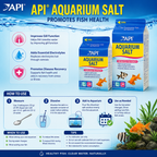API - Garam Akuarium