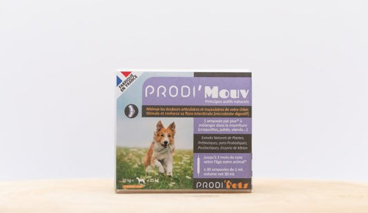 Prodi'Mouv - Probiotics for Cat, Dogs Supplement for joint and muscle pain (Small, Medium Large Dogs)