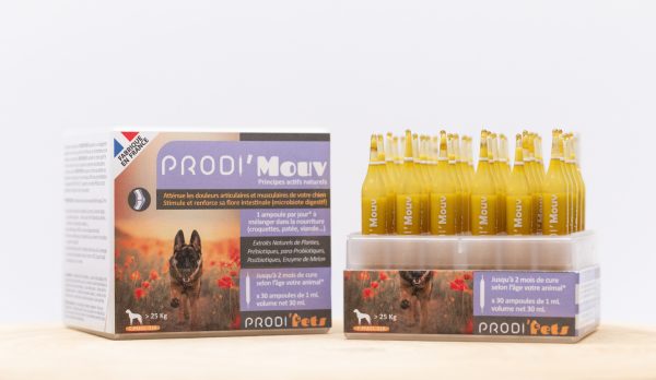 Prodi'Mouv - Probiotics for Cat, Dogs Supplement for joint and muscle pain (Small, Medium Large Dogs)