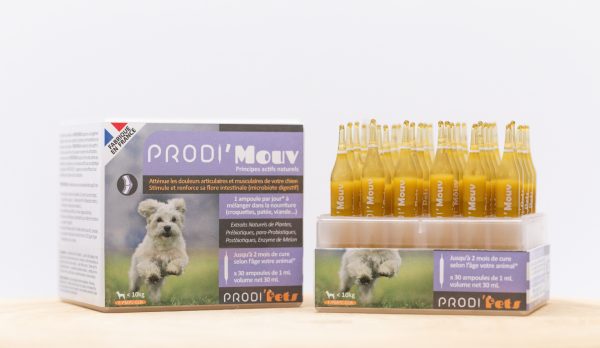 Prodi'Mouv - Probiotics for Cat, Dogs Supplement for joint and muscle pain (Small, Medium Large Dogs)
