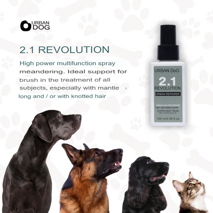 Multifunction Detangling Spray 2.1 Revolution 100ML