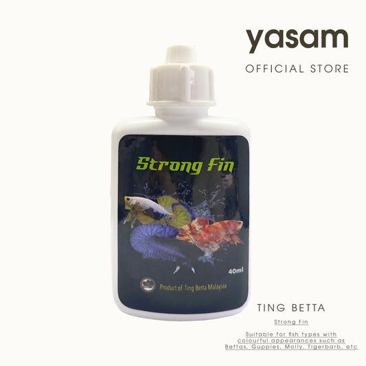 TING BETTA - Sirip Kuat