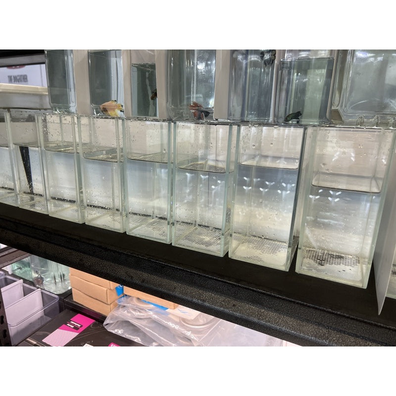 YASAM - Tangki Kaca Mini Kristal untuk Ikan Cupang (Cocok untuk Fotografi)