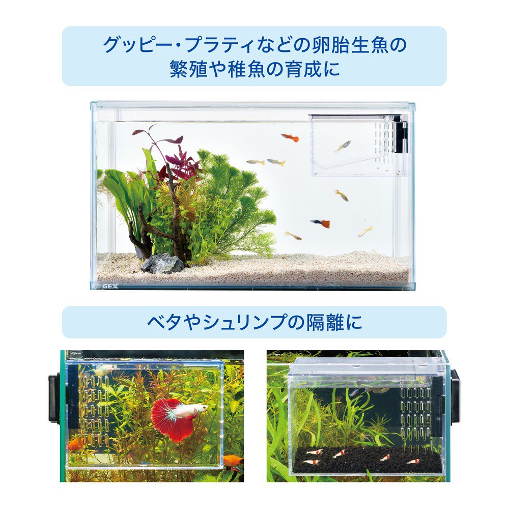GEX - Multi Clear Case PRO Fish Hatchery & Fry Breeding Box