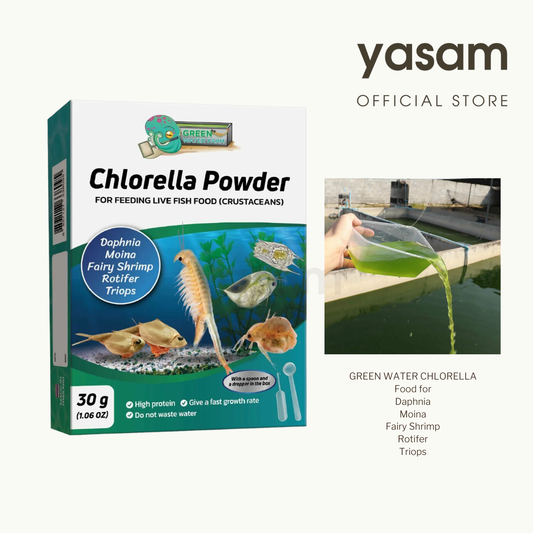 GREENWATERFARM - Chlorella Powder Green Water for feeding Boon Daphnia, Fairy Shrimps, Copepods