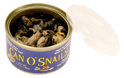 ZOO MED - Can O’ Snails All-Natural Cooked Unshelled Snails for Skinks, Turtles, Monitors & Puffer Fish