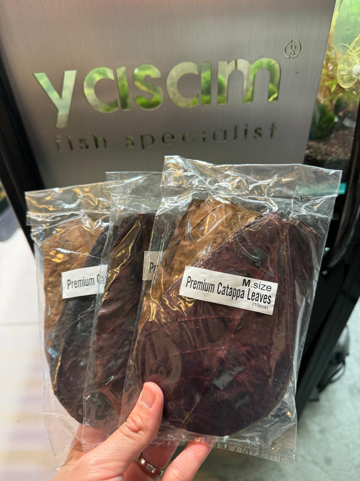 YASAM - 桑葚、杏仁叶和干 Catappa 树皮，带洞穴