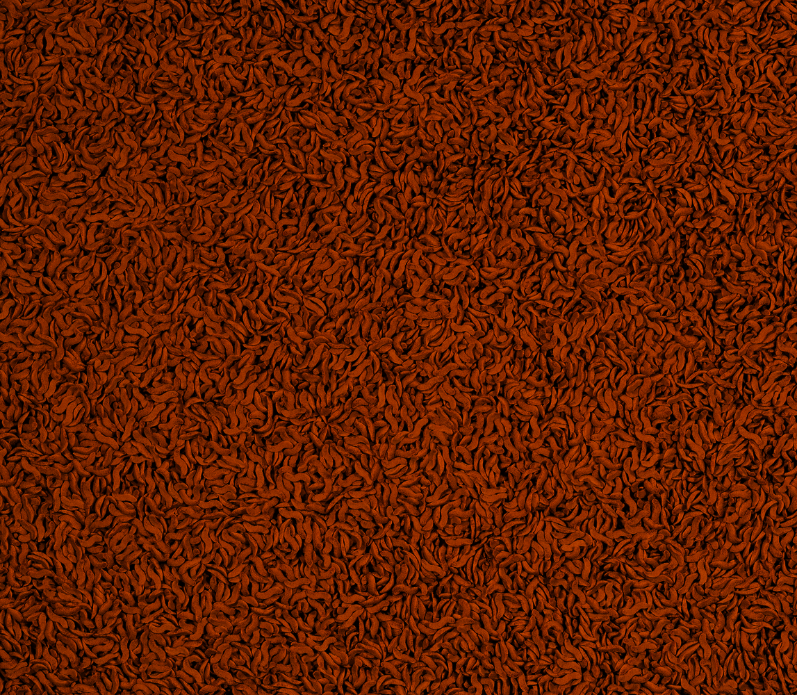 TETRA - Goldfish Food (Pellet and Sticks)