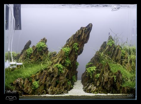 YASAM - Dragon Rocks Stones Various size available 5-20cm