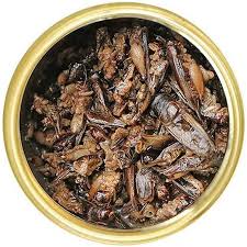 ZOO MED - Can O’ Crickets All-Natural Farm-Raised Crickets for Reptiles, Amphibians & Fish 35g