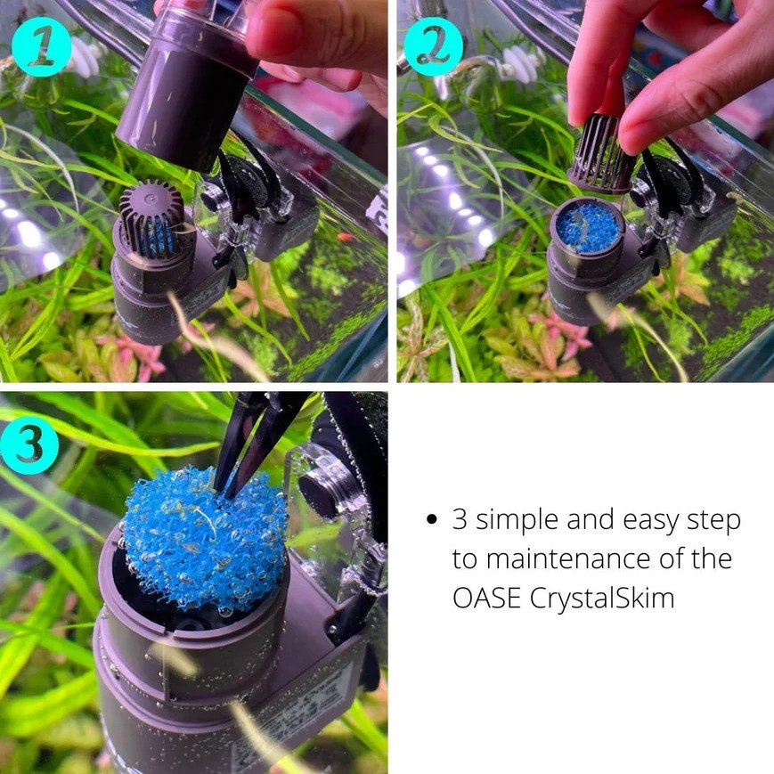 OASE - Skimmer Air Akuarium Crystalskim 350 600 untuk Aquascape Jernih