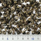 ZOO MED - Can O’ Snails All-Natural Cooked Unshelled Snails for Skinks, Turtles, Monitors & Puffer Fish