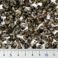 ZOO MED - Can O’ Snails All-Natural Cooked Unshelled Snails for Skinks, Turtles, Monitors & Puffer Fish